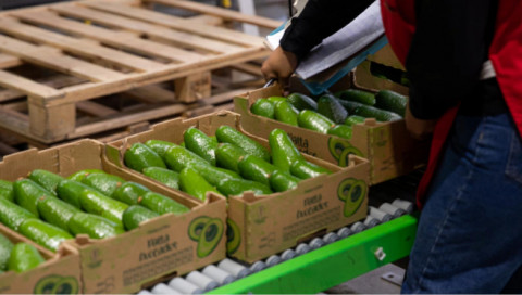 페루산 아보카도가 페루 수출 역사상 처음으로 서울을 거점으로 한 재수출 방식을 통해 몽골에 공급됐다. 페루는 한국을 허브로 아시아 시장 공략에 적극 나설 계획이다