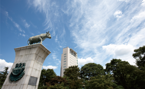 ‘세계를 이끌 녹색의 새 물결’ 건대 정시합격자 1374명 발표