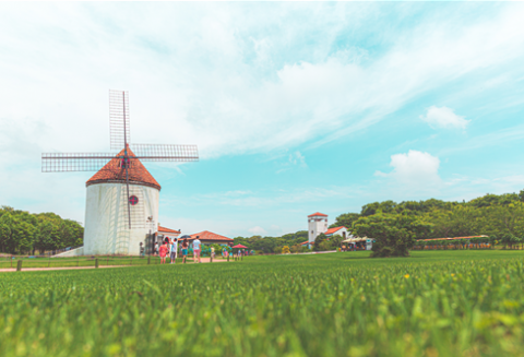 이국적인 풍차와 푸른 초원이 어우러진 에코랜드의 봄 전경. 오는 28일 동물 교감 콘텐츠를 강화한 ‘곶자왈 팜 빌리지’로의 목장 리뉴얼 오픈을 앞두고 있다