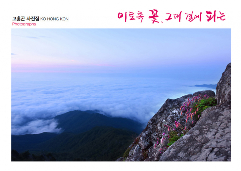 개인전과 함께 132페이지로 출판된 사진시집은 ‘혼돈-위로-극복-소생’의 4단계 서사 구조로 구성됐다. 삶의 어두운 시간 속에서 흔들리는 존재를 ‘혼돈’으로, 자연이 건네는 빛과 