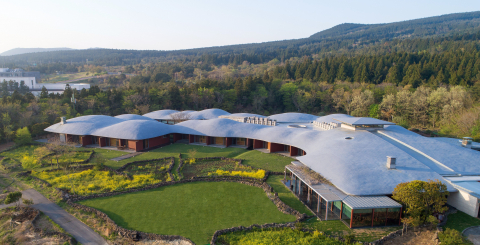 제주 포도호텔 전경