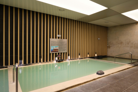 제주 디아넥스 아라고나이트 고온천