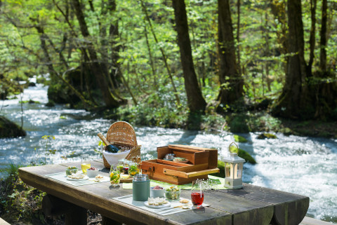 오이라세 계류 호텔 by 호시노 리조트, 신록의 그라데이션 속에서 즐기는 프라이빗 미식 체험 ‘오이라세 새싹 피크닉’ 개최