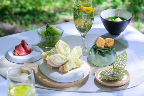 새싹의 형태와 질감을 담아낸 피크닉 런치