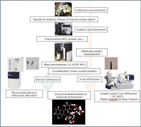 Figure 2: Sequence of the main analytical steps in this research.