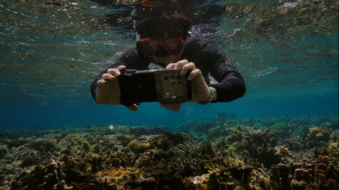 삼성전자가 갤럭시 카메라 기술을 활용한 산호초 보호 프로젝트 ‘코랄 인 포커스’로 국제 어워드를 잇따라 수상했다