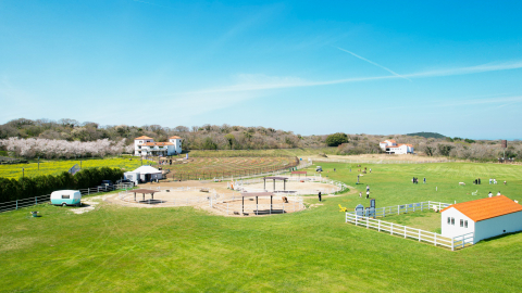 새로운 동물들이 들어오며 에코랜드만의 ‘곶자왈 팜 빌리지’가 형성됐다