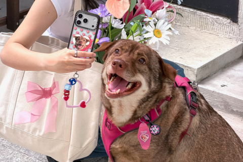 케이스티파이가 ‘세계 반려동물의 날’을 맞아 반려동물을 사랑하는 이들을 위한 ‘펫 컬렉션’을 출시한다
