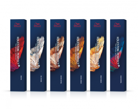 웰라 ‘콜레스톤 퍼펙트 플러스 염모제 80g’