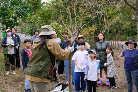 창경궁 내 ‘KB GreenWave 궁궐숲’에서 시민 봉사자들이 나무심기 봉사활동을 진행하고 있다