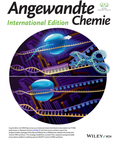 ‘Angewandte Chemie International Edition’ 2026년 4월호 표지