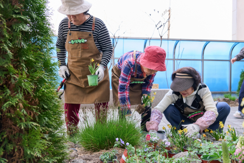 수정구치매안심센터 ‘추억정원 보식활동’에 참여한 어르신들이 꽃을 심으며 정원 가꾸기에 참여하고 있다(사진=숲생태지도자협회)