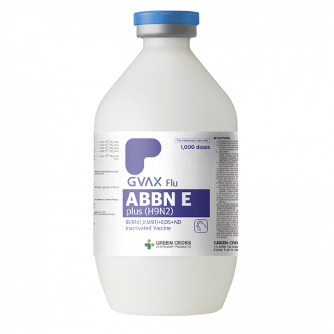 녹십자수의약품이 가금용 백신 ‘지백스 닭 ABBNE 플러스’를 방글라데시에 수출한다