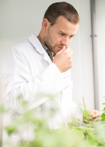 Bernard Blerot, VP R&D Naturals at IFF, smelling geranium in a botanical research laboratory.