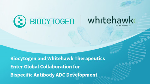 Biocytogen and Whitehawk Therapeutics Enter Global Collaboration for Bispecific Antibody ADC Develop