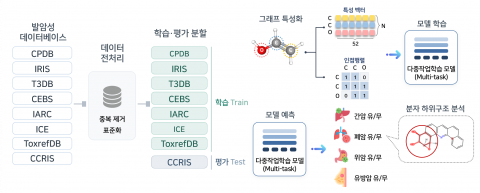 다중작업학습(Multi-task learning) 기반 장기별 발암성 예측 파이프라인