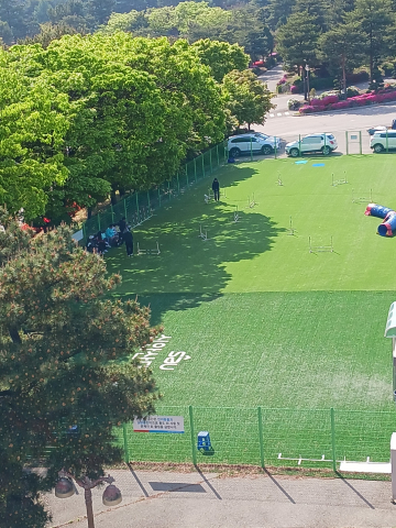 신안산대학교 반려동물과 야외 훈련장 전경. 반려동물 행동·훈련 및 실습 교육을 위한 야외 교육공간으로 운영되고 있다