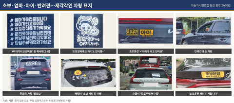 1만 원 이하면 대형 쇼핑몰에서도 쉽게 구입할 수 있는 교통안전 스티커(제공=자동차시민연합)