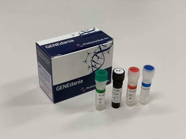 프로테옴텍 코로나19 분자진단키트 &#039;GENEdania COVID-19 qRT-PCR’ 제품