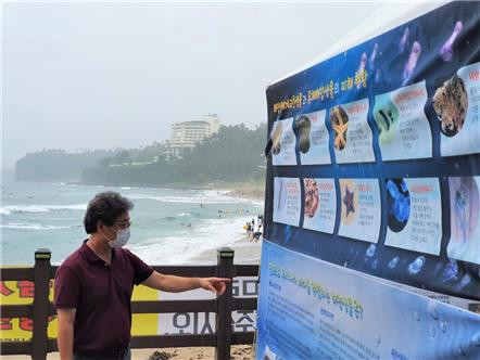 국립해양생물자원관이 해수욕장 관광객을 대상으로 해파리 쏘임 사고 예방법과 대처 방안을 알리는 프로그램을 진행한다