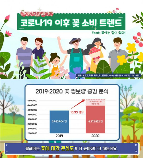 2019·2020 꽃 정보량 증감