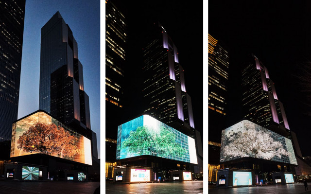 서울미디어아트 프로젝트 선정작인 ‘Pivotal Tree(당산나무)’는 ‘오래된 생명력’과 ‘소통의 공간’을 의미하는 당산나무를 현대적으로 표현한 미디어아트다
