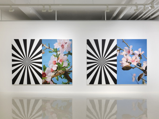 Exstacy Almond Blossom Series (L), 214×304㎝