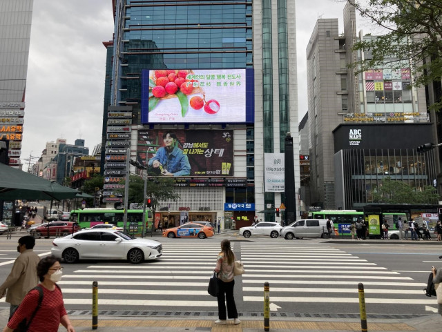 광동 여지 관련 영상이 서울의 한 대형 스크린에서 재생되고 있다