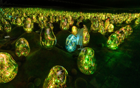 teamLab Planets in Tokyo Unveils Two New Immersive Living Garden Artworks on July 2