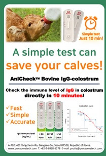 프로테옴텍의 초유 면역력 측정 키트 ‘애니첵 Bovine IgG’ - colostrum