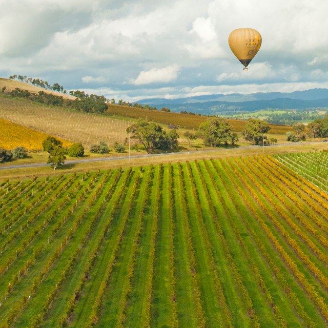 Yarra Valley Water Enhances Customer Experience and Fuels Digital Transformation Journey by Moving O...