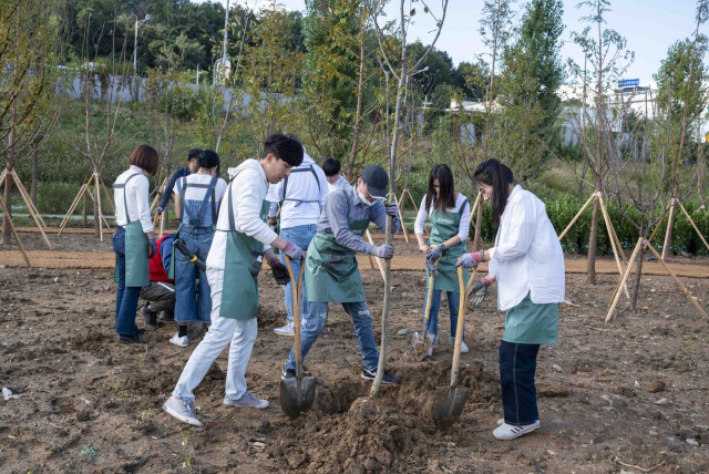 한국허벌라이프 임직원들이 7일 안양천 인근에서 ‘나무심기 봉사활동’을 진행했다