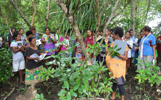 메리케이는 산호 삼각지대에서 파푸아뉴기니 여성단체 만고로마켓메리 및 TNC와 협력한다