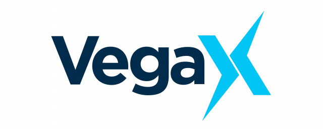 베가엑스가 ‘VPAYX’ 인덱스를 출시했다