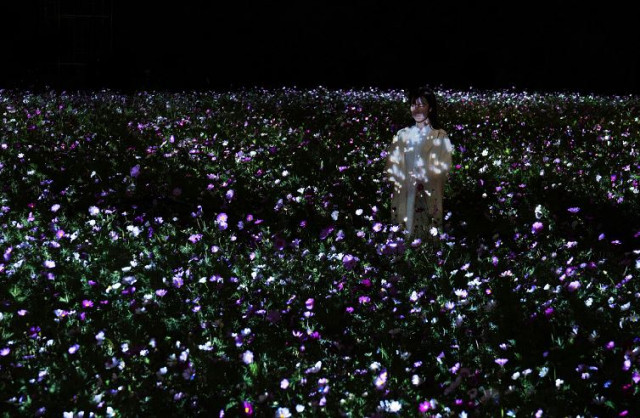 Art collective teamLab Brings Immersive Nighttime Art Experience to Botanical Garden in Osaka