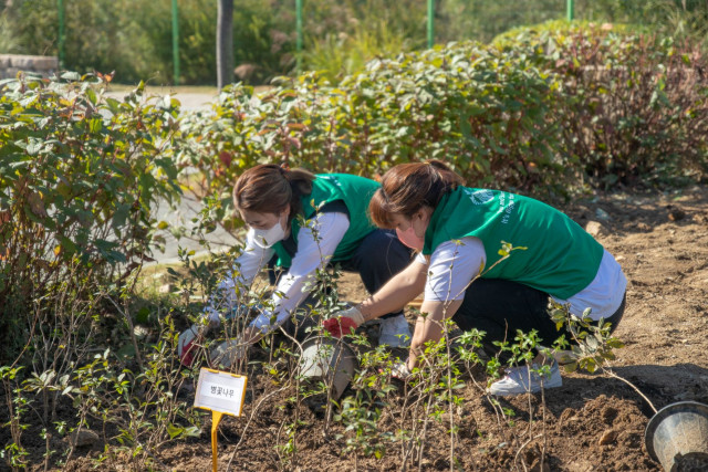 서울그린트러스트와 스타벅스코리아가 ‘공원의 친구되는 날’ 전국 공원 봉사 캠페인을 4년째 이어가고 있다