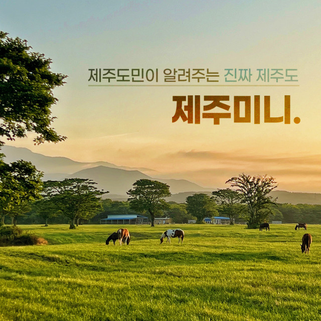 “제주여행 특화 플랫폼 개발 시동” 제주미니, 중소기업벤처부 ‘프리팁스’ 선정