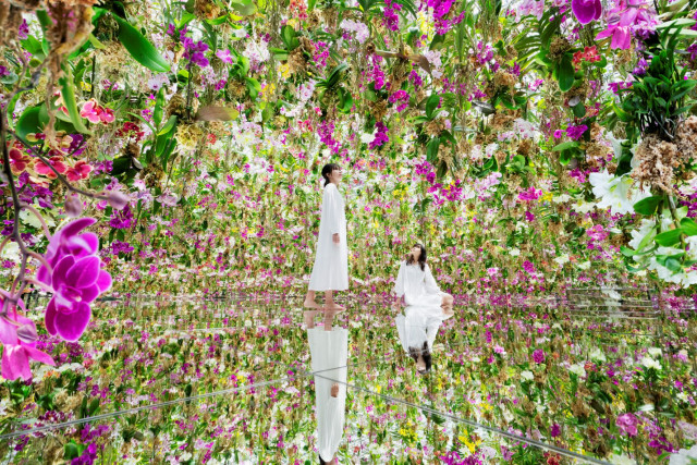 teamLab, Floating Flower Garden; Flowers and I are of the Same Root, the Garden and I are One
