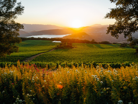 Chappellet Becomes the Only American Winery to Be Named a Relais & Châteaux Preferred Partner