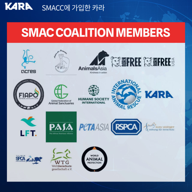 SMACC 회원 단체들