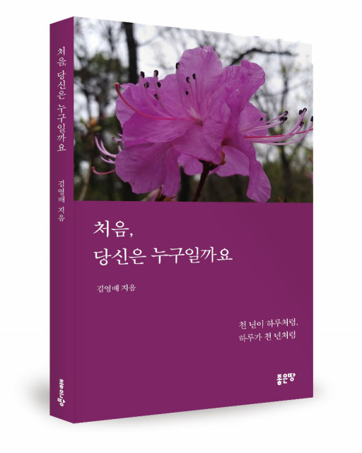 김영배 지음, 좋은땅출판사, 256쪽, 1만4000원