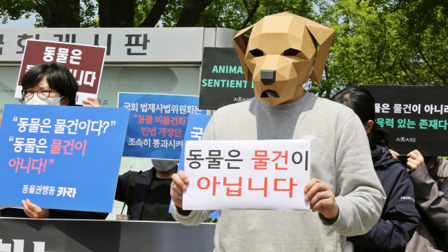 동물의 비물건화 민법 개정안 통과 촉구 기자 회견