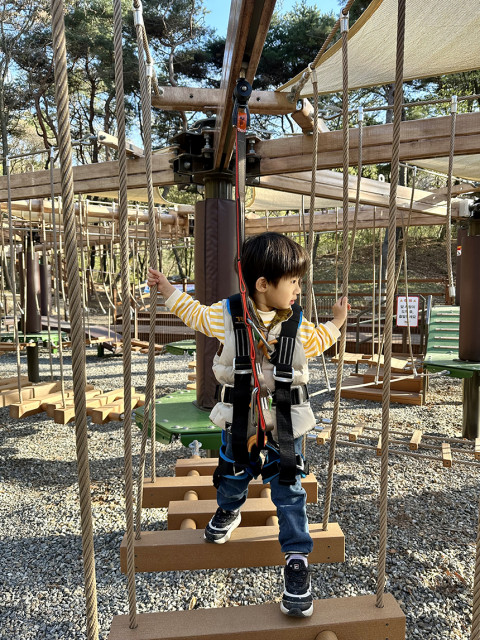 경기 용인시에 위치한 용인자연휴양림에서 한 어린이가 아동용 로프코스 ‘에코어드벤처’를 체험하고 있다