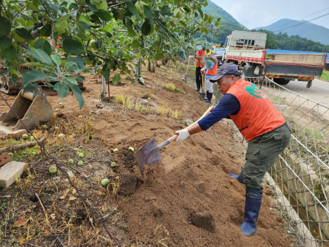 경북 문경의 침수 피해 농가에서 토사를 제거하는 모습