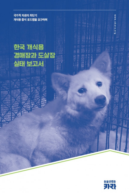 한국 개식용 경매장·도살장 실태보고서 표지