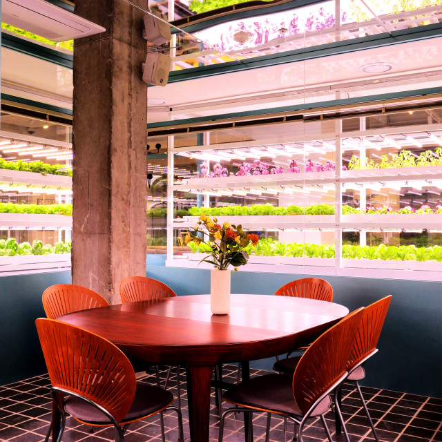 재배·수확·조리·식사가 한 공간에서 이뤄지는 ‘팜 투 테이블(Farm to table)’을 실현한 센트럴 윤잇