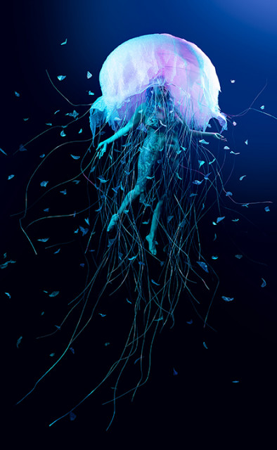 작품명: Bubble wrap no.21 (Jellyfish), 2021, Archival pigment print