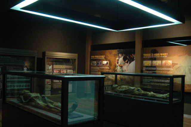 한국자연사박물관 3F 미라전시실