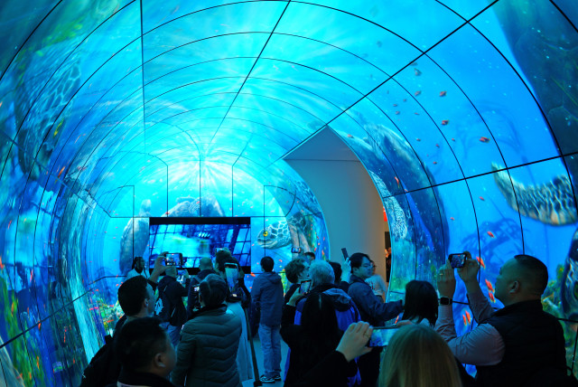 관람객들이 CES 2024 LG전시관에 설치된 webOS 미디어터널을 관람하고 있다