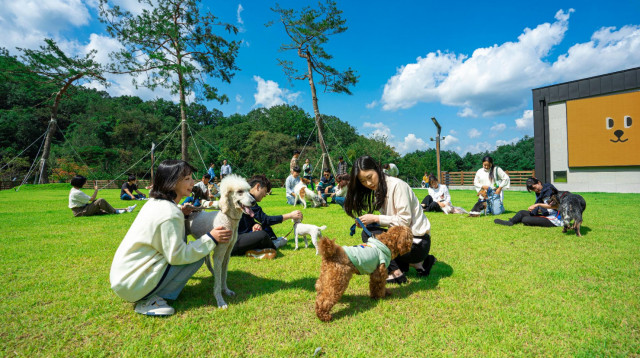 강아지숲 전경